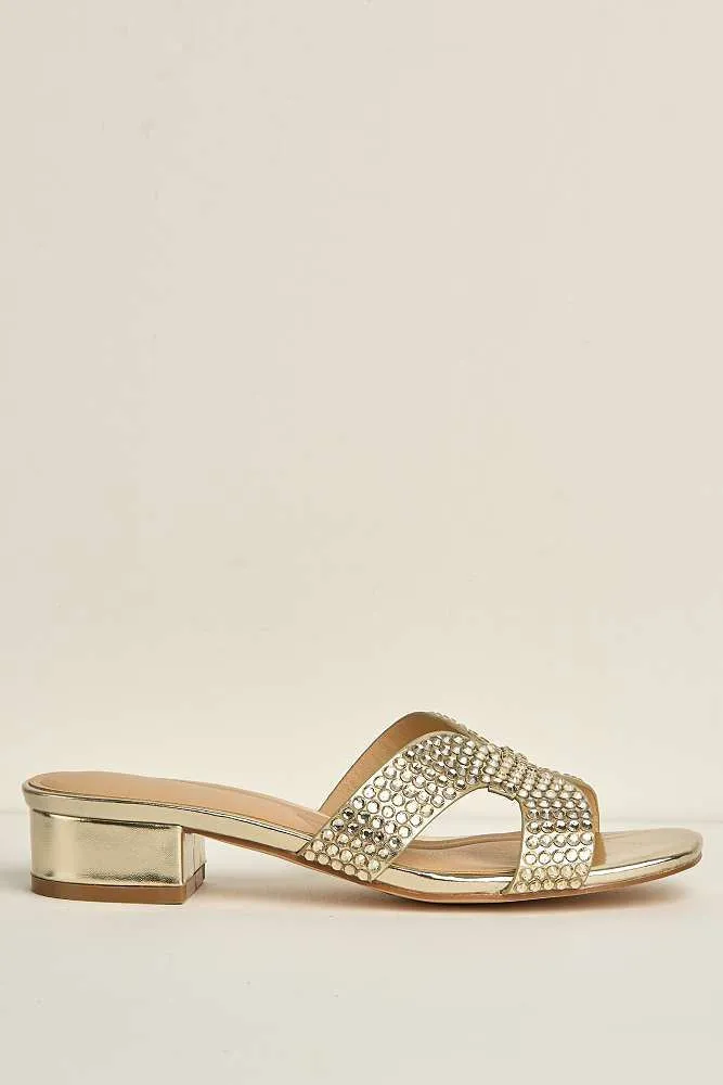 Della Gemstone Embellished Slip On Block Heel Mules in Gold