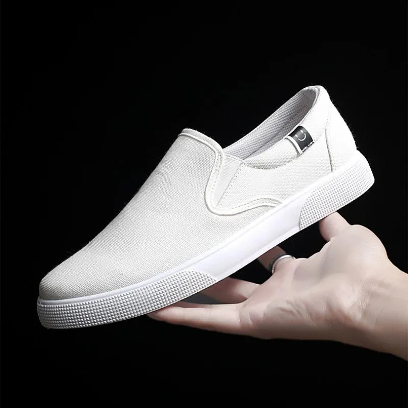 Men's Summer/Autumn Casual Canvas Slip-Ons